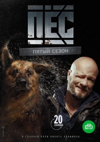 Пес 5 Сезон все серии подряд (2019)