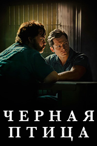 Сериал Черная птица (2022)