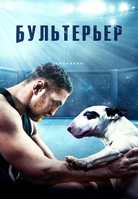 Бультерьер (2022)